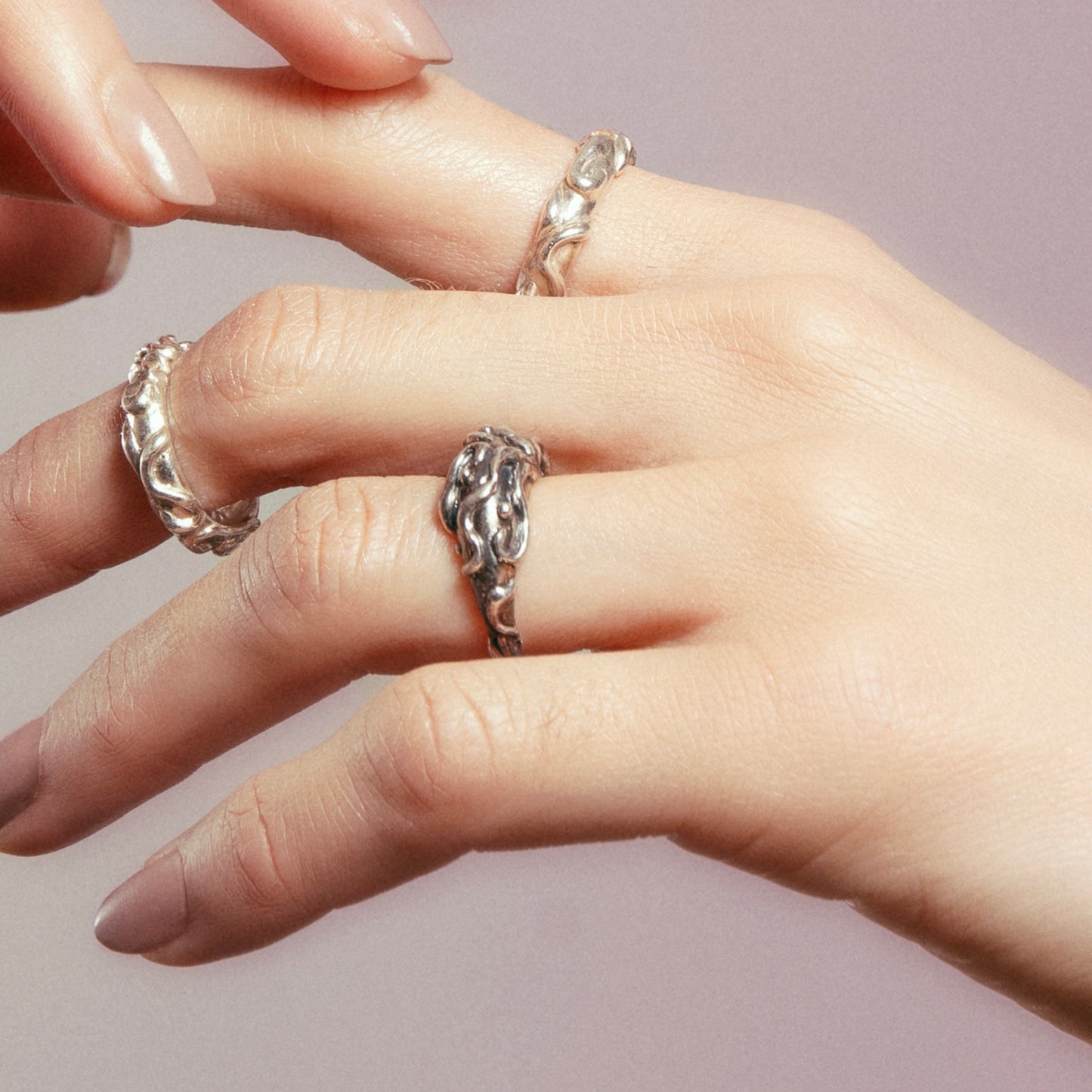 Anillo Fontis Noctem