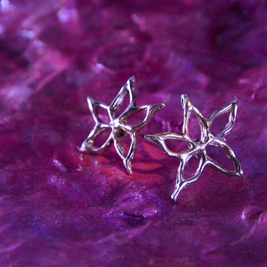Aros lyrae (a pedido)