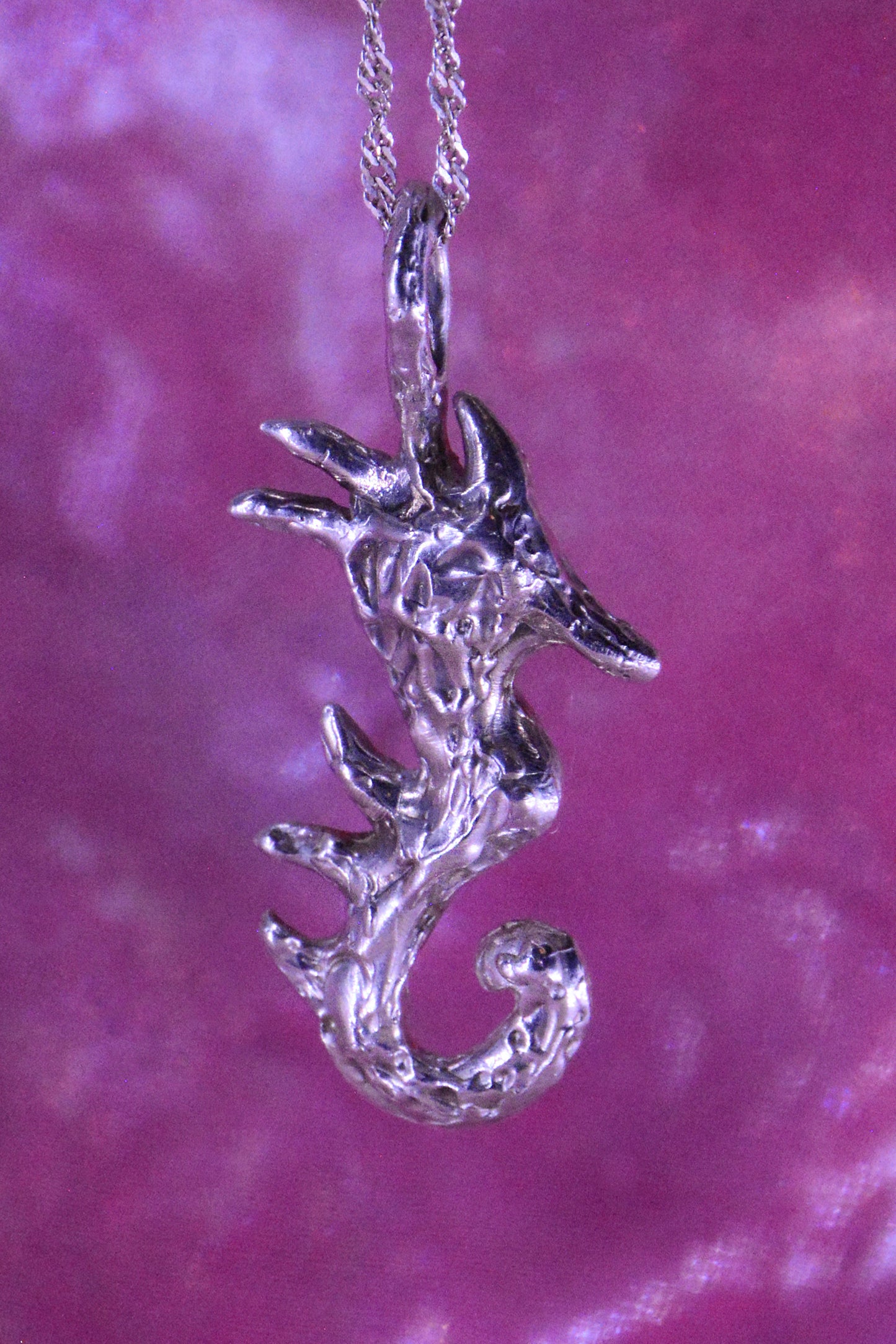 Colgante Hypocampus