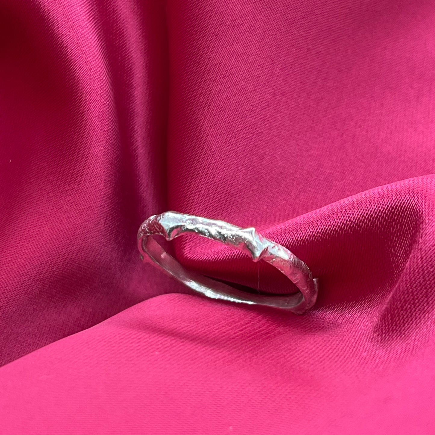 Anillo raiz
