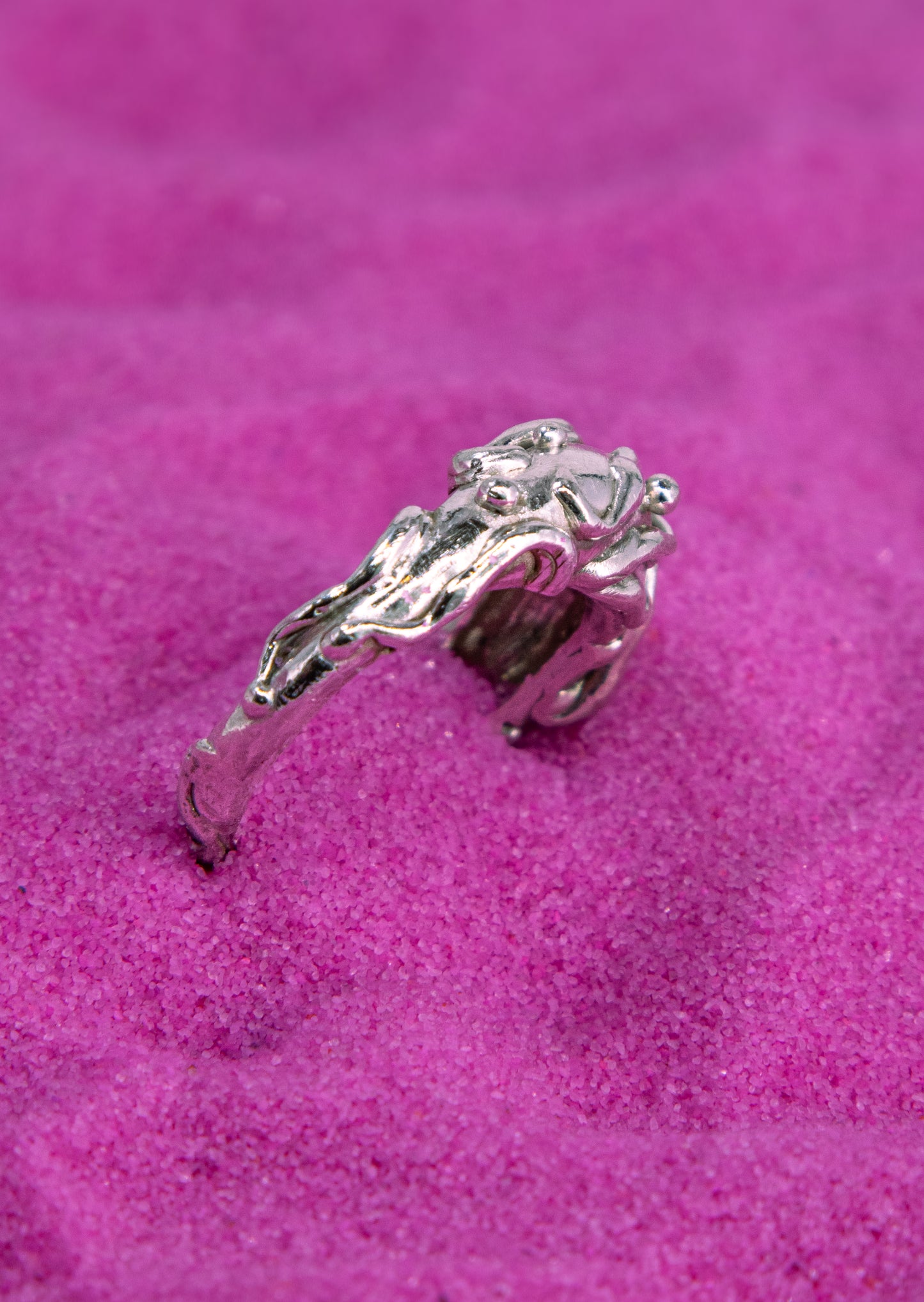 Anillo Fontis