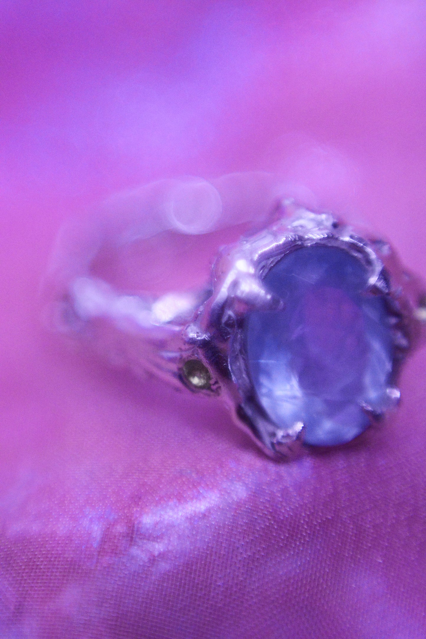 Anillo tesoro del mar