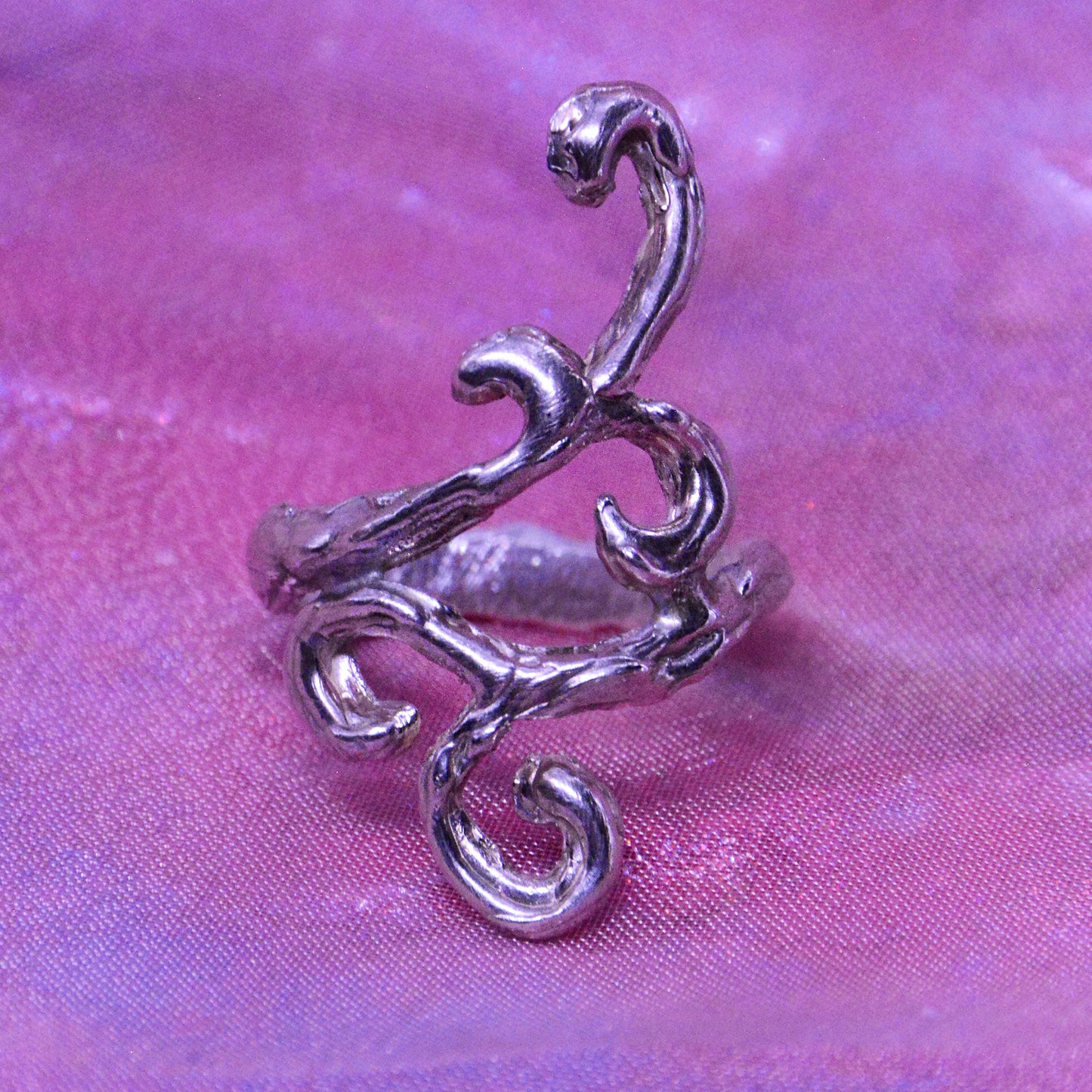 Anillo Syphonea