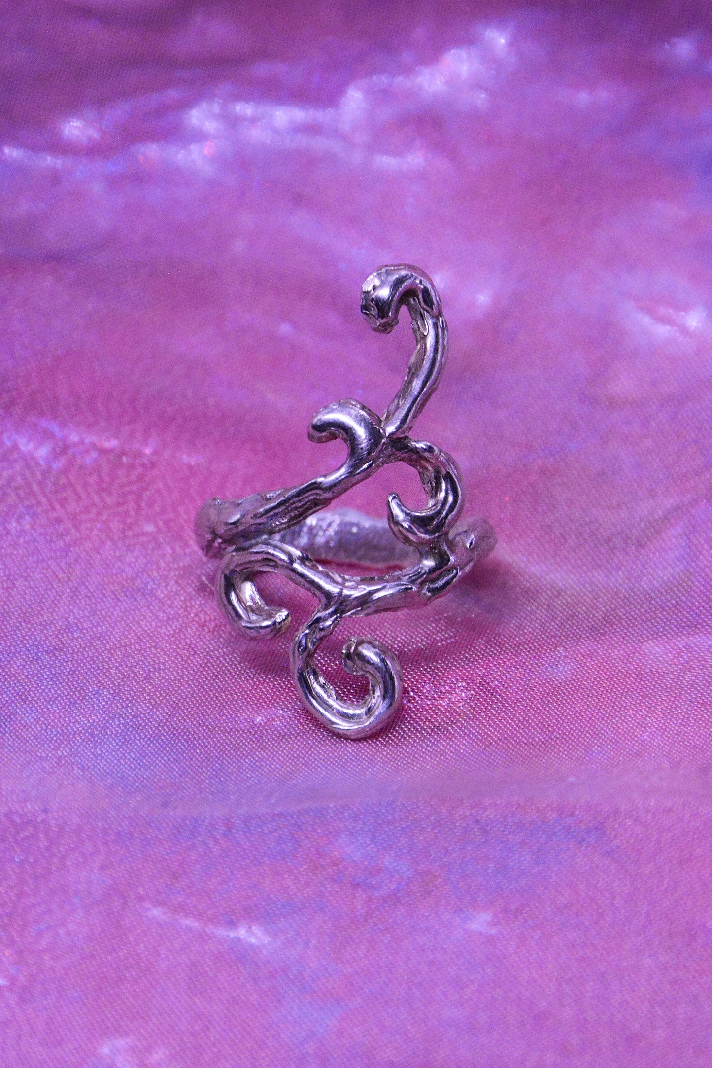 Anillo Syphonea