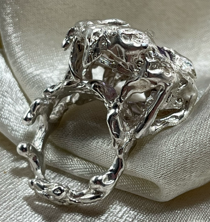 Anillo de las estrellas (a pedido)