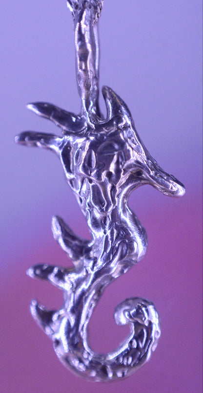 Colgante Hypocampus