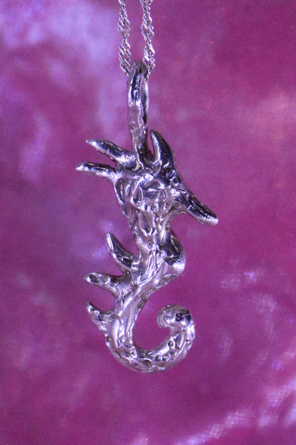 Colgante Hypocampus