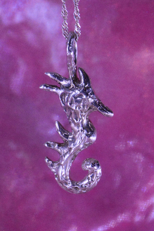 Colgante Hypocampus
