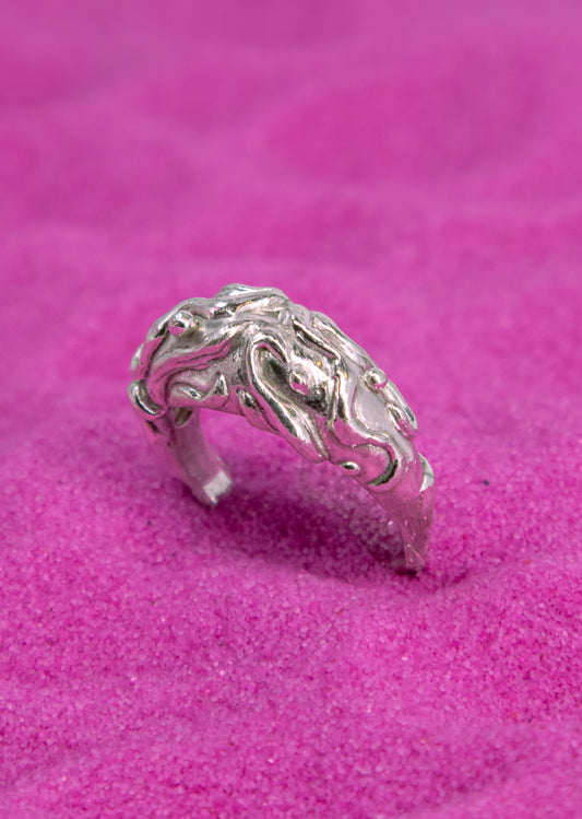Anillo Fontis