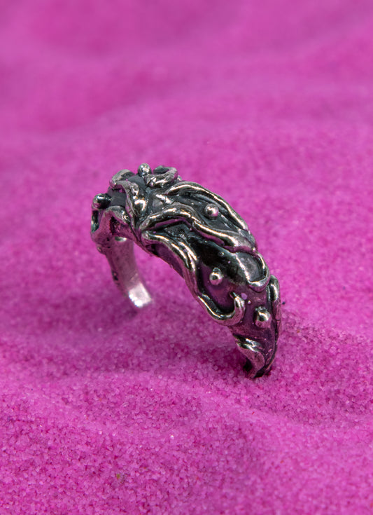 Anillo Fontis Noctem