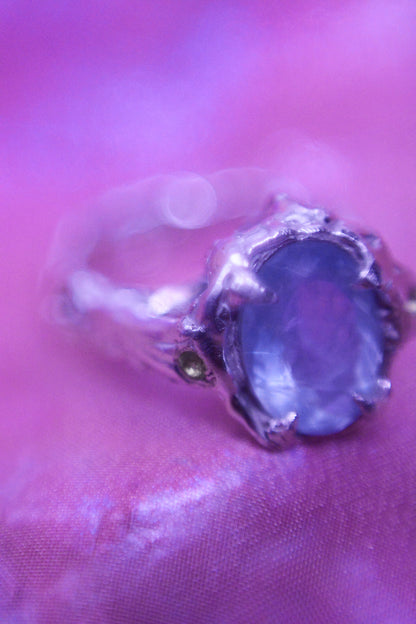 Anillo tesoro del mar
