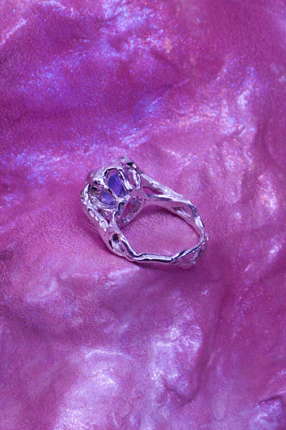 Anillo tesoro del mar